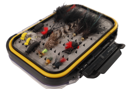 IMG_2265-Photoroom-Photoroom