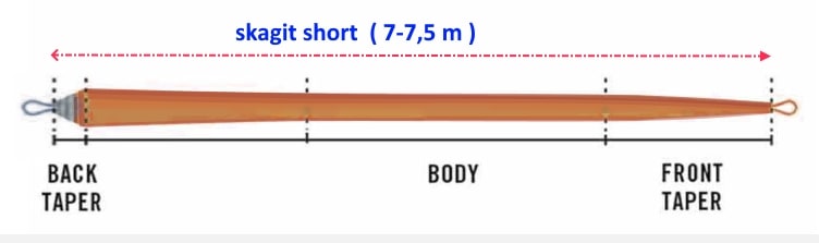 Стреляющая голова RIO AFS Spey Shooting Head Floating 5/6F